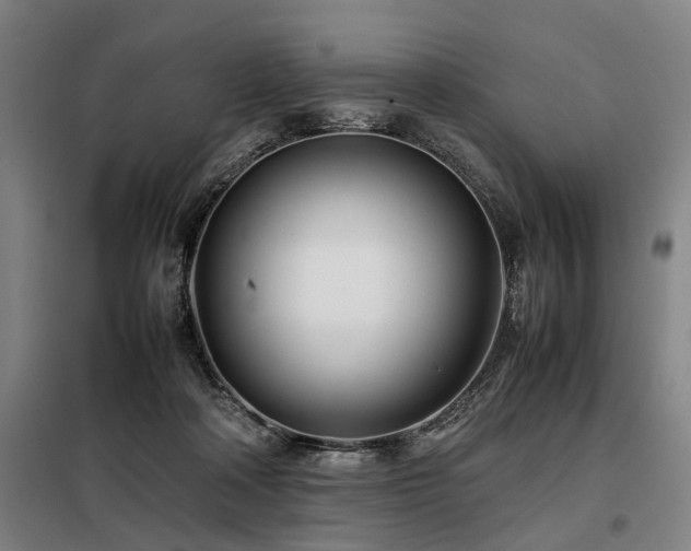X0000098080314200804041155