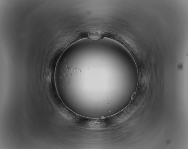 X0000098080315200804041155