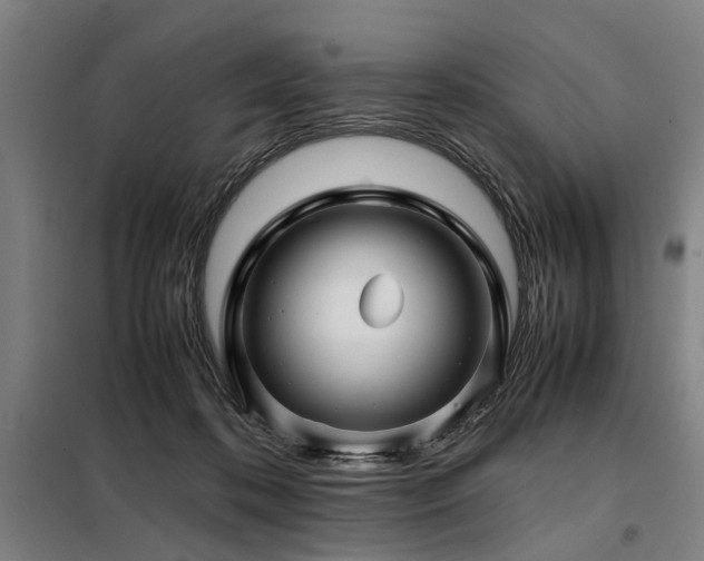 X0000098080316200804041155