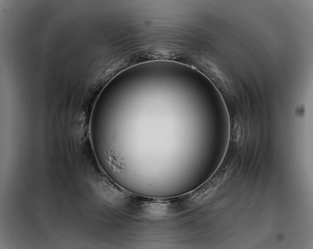 X0000098080318200804041155