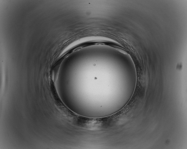 X0000098080319200804041155