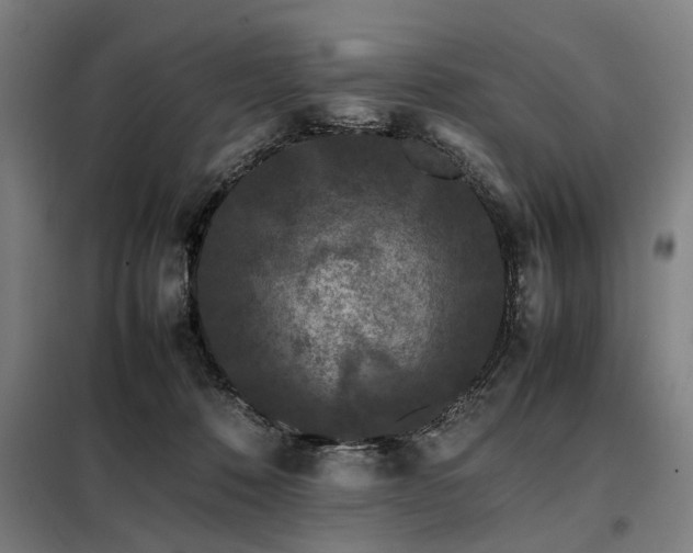 X0000098080320200804041154