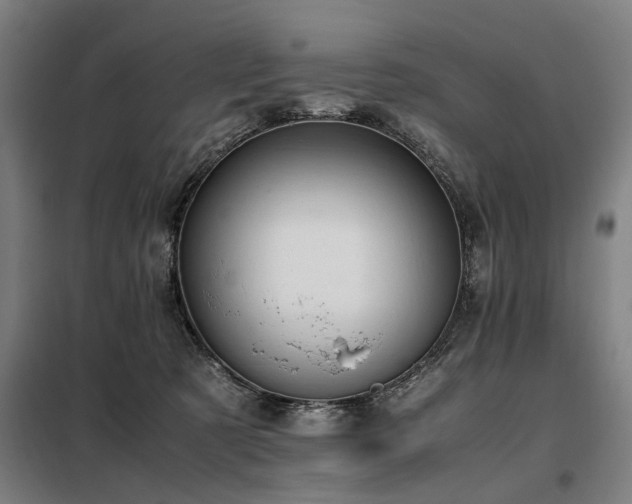 X0000098080321200804041154