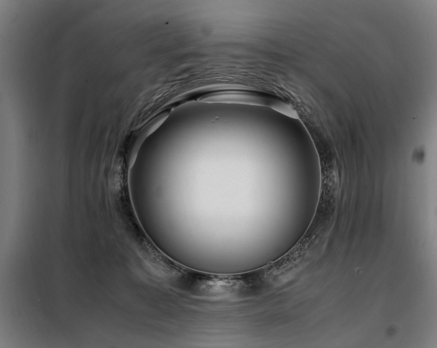 X0000098080323200804041154
