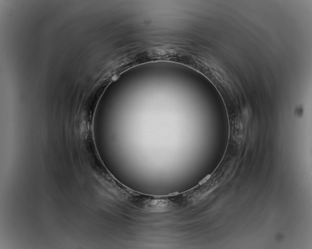 X0000098080324200804041154