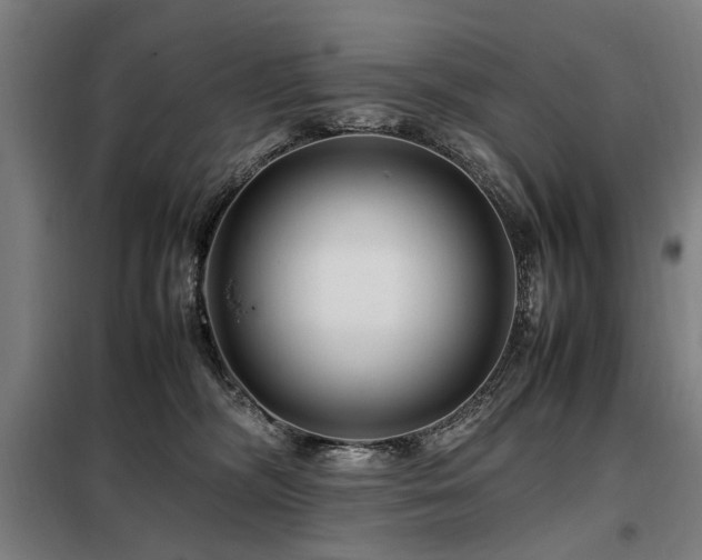 X0000098080326200804041154