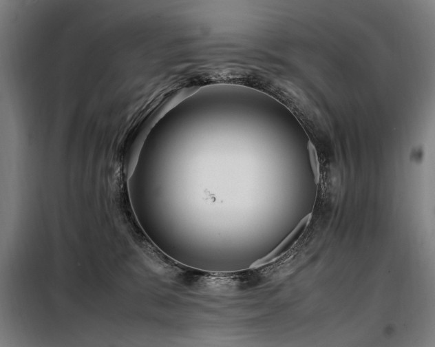 X0000098080327200804041154