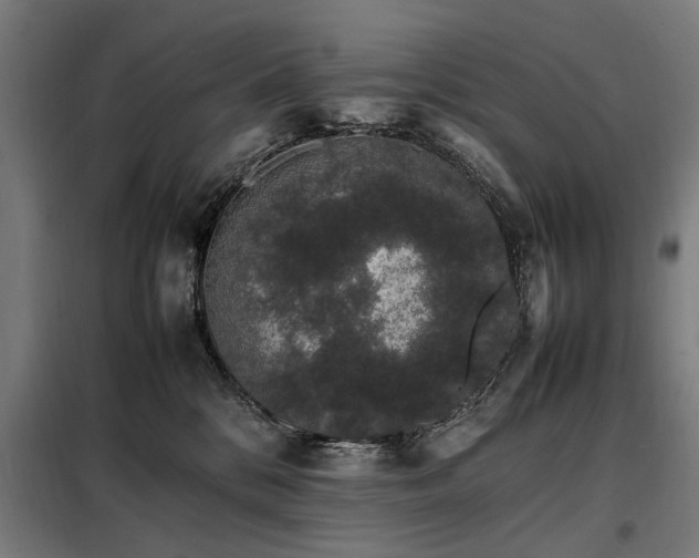 X0000098080328200804041154