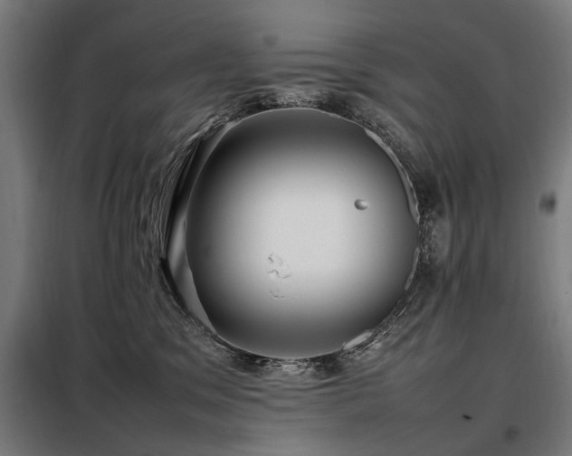 X0000098080329200804041154