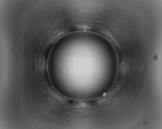 X0000098080330200804041154