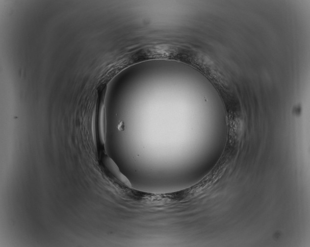 X0000098080331200804041154