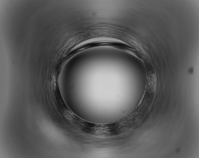 X0000098080333200804041154