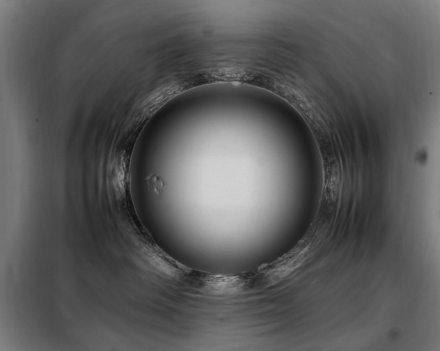 X0000098080334200804041154
