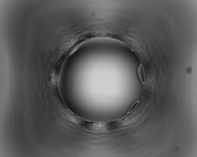 X0000098080335200804041154
