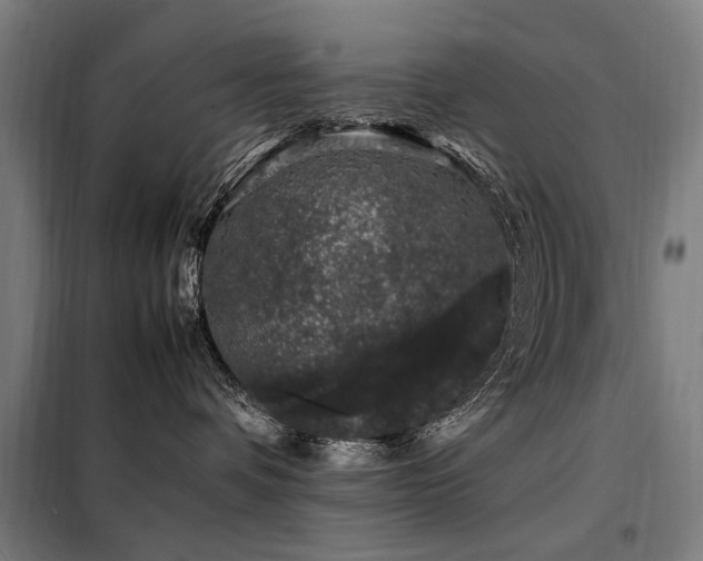 X0000098080336200804041154