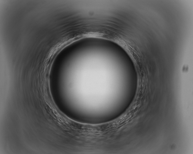 X0000098080337200804041153