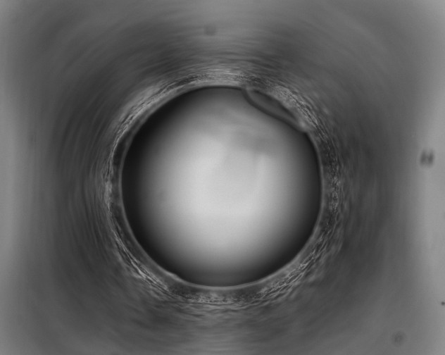 X0000098080338200804041153