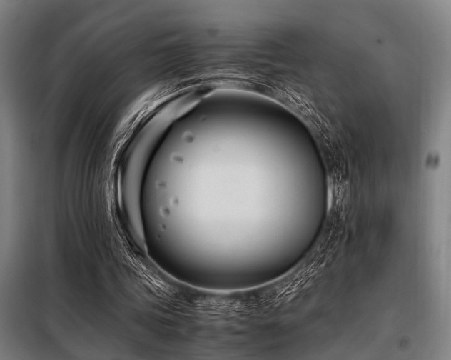 X0000098080339200804041153