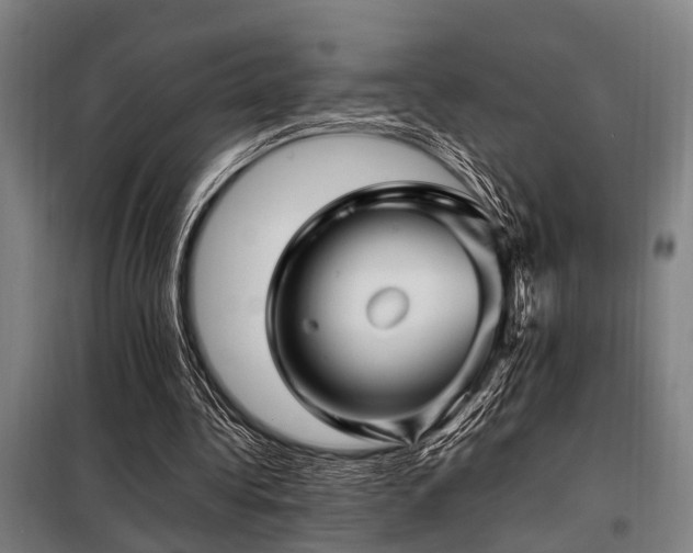 X0000098080340200804041153