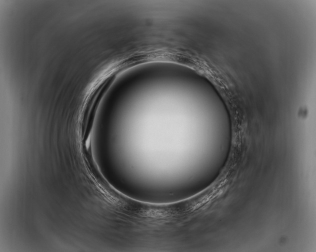 X0000098080341200804041154