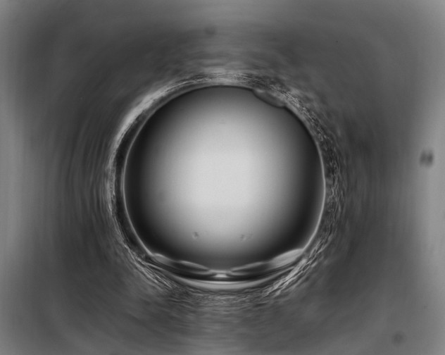 X0000098080342200804041154