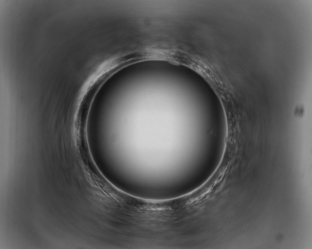 X0000098080343200804041154