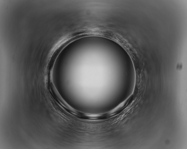 X0000098080344200804041154