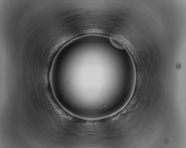 X0000098080345200804041154