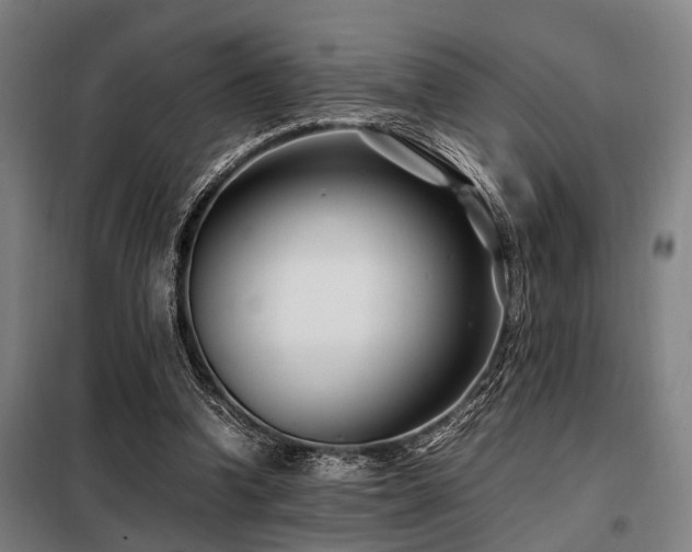 X0000098080346200804041154