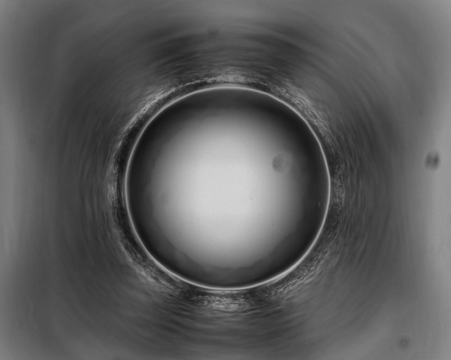 X0000098080347200804041154