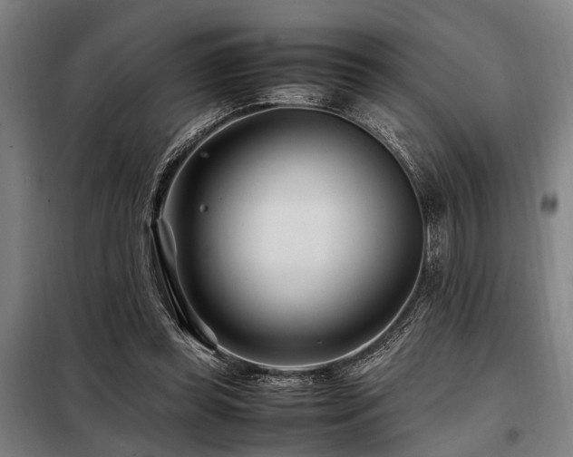 X0000098080349200804041154