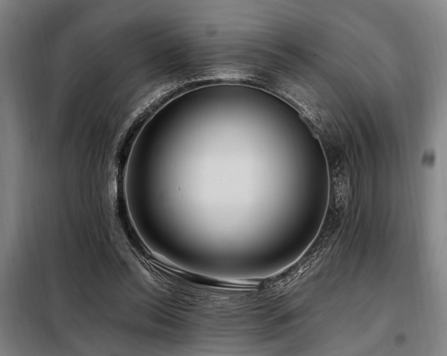X0000098080350200804041154