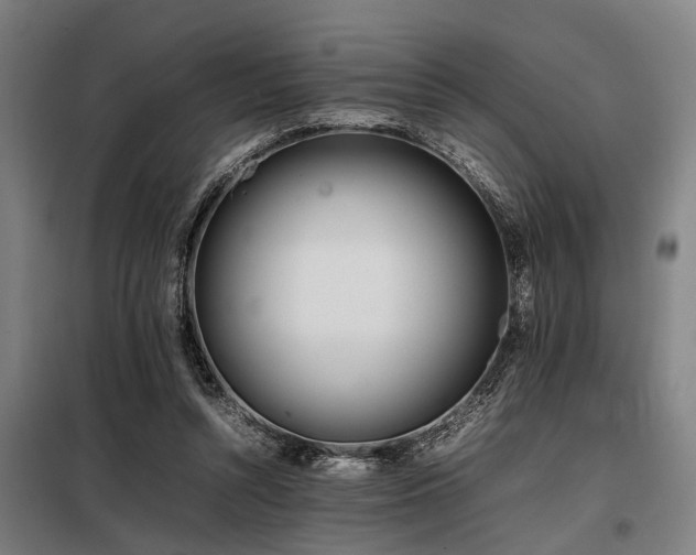 X0000098080352200804041154