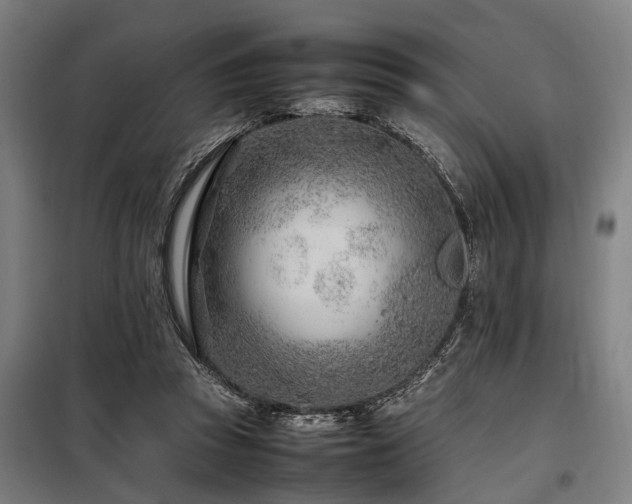 X0000098080353200804041154