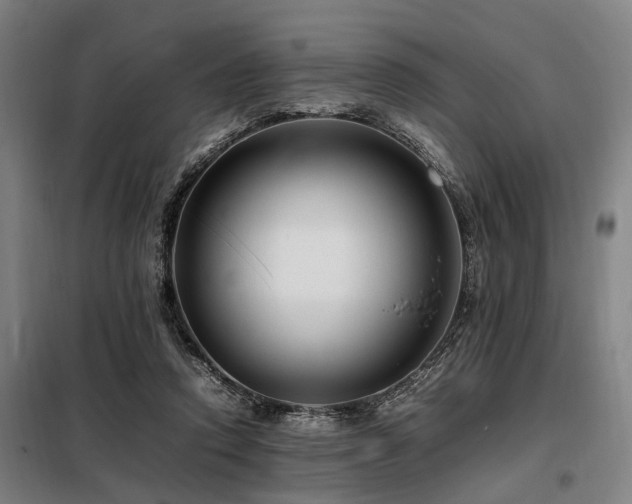 X0000098080354200804041154