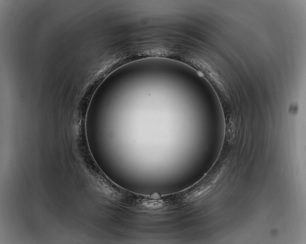 X0000098080355200804041154