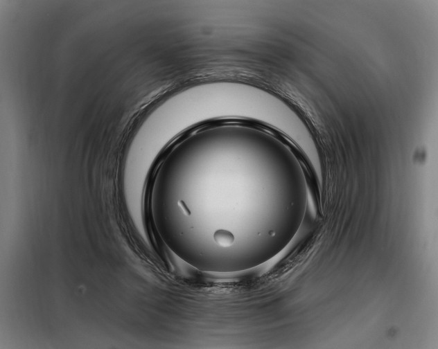 X0000098080356200804041154