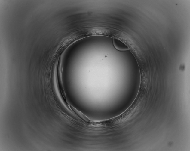 X0000098080357200804041154
