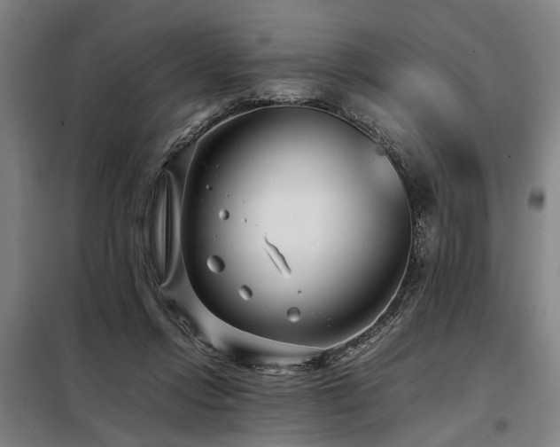 X0000098080358200804041154