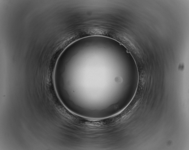 X0000098080359200804041154