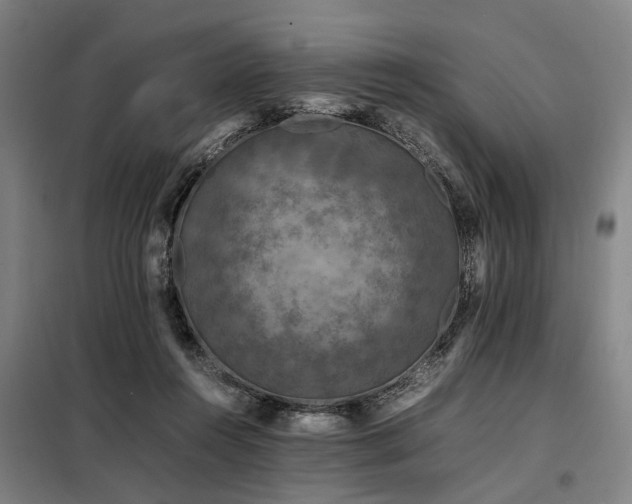 X0000098080360200804041154