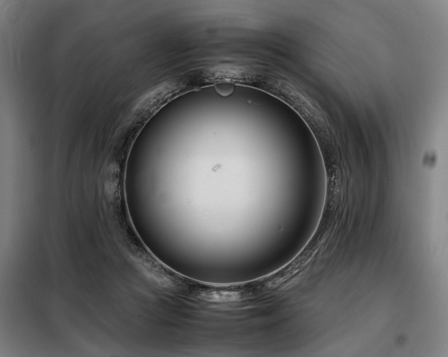 X0000098080361200804041154
