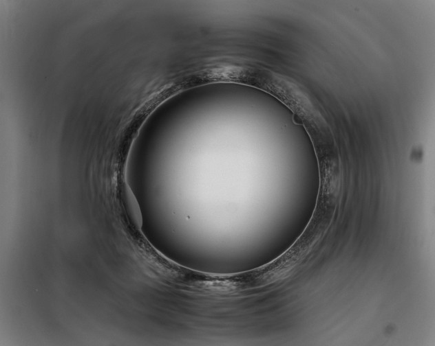 X0000098080363200804041154