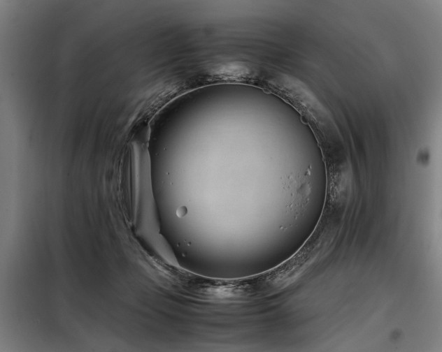 X0000098080365200804041154