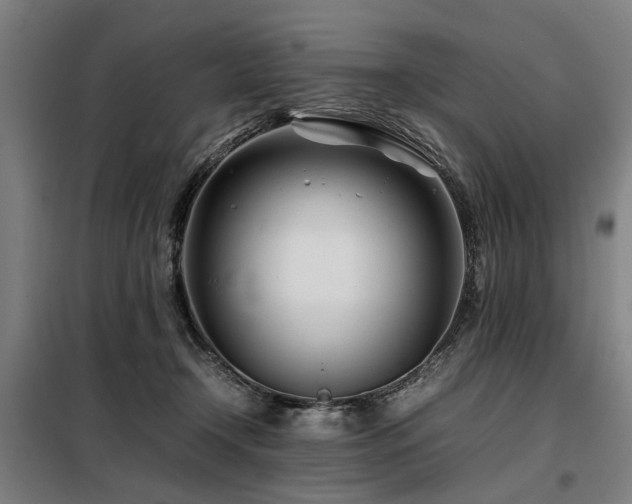 X0000098080366200804041154