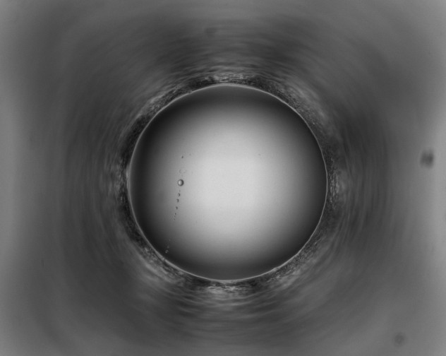 X0000098080367200804041154
