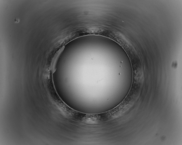 X0000098080368200804041154