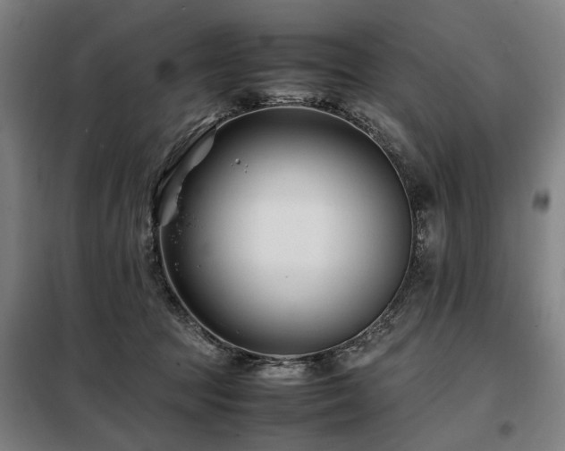 X0000098080369200804041154