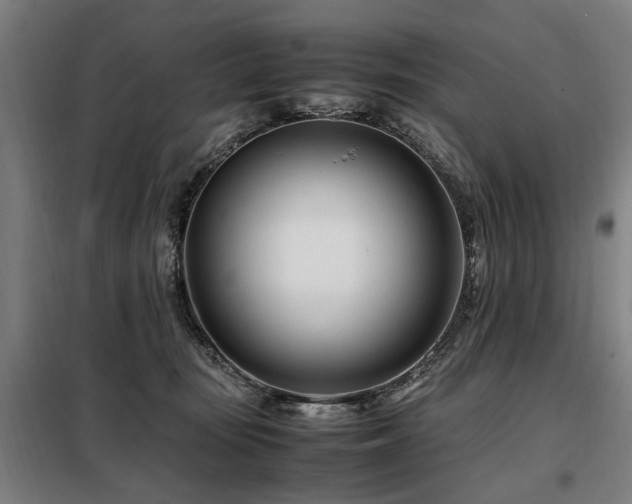 X0000098080371200804041154