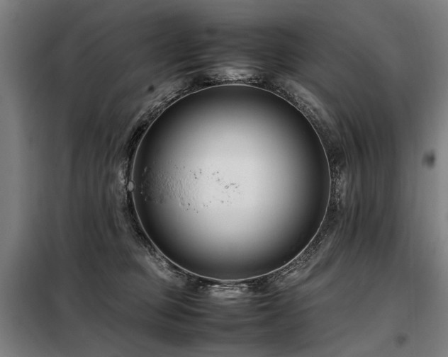 X0000098080373200804041154